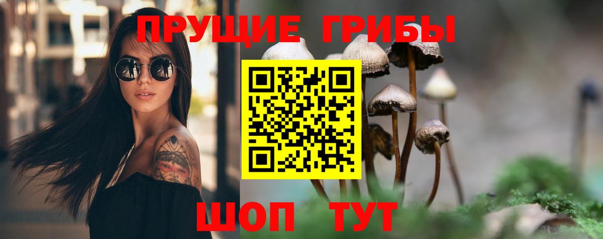 Галлюциногенные грибы Magic Shrooms Югорск